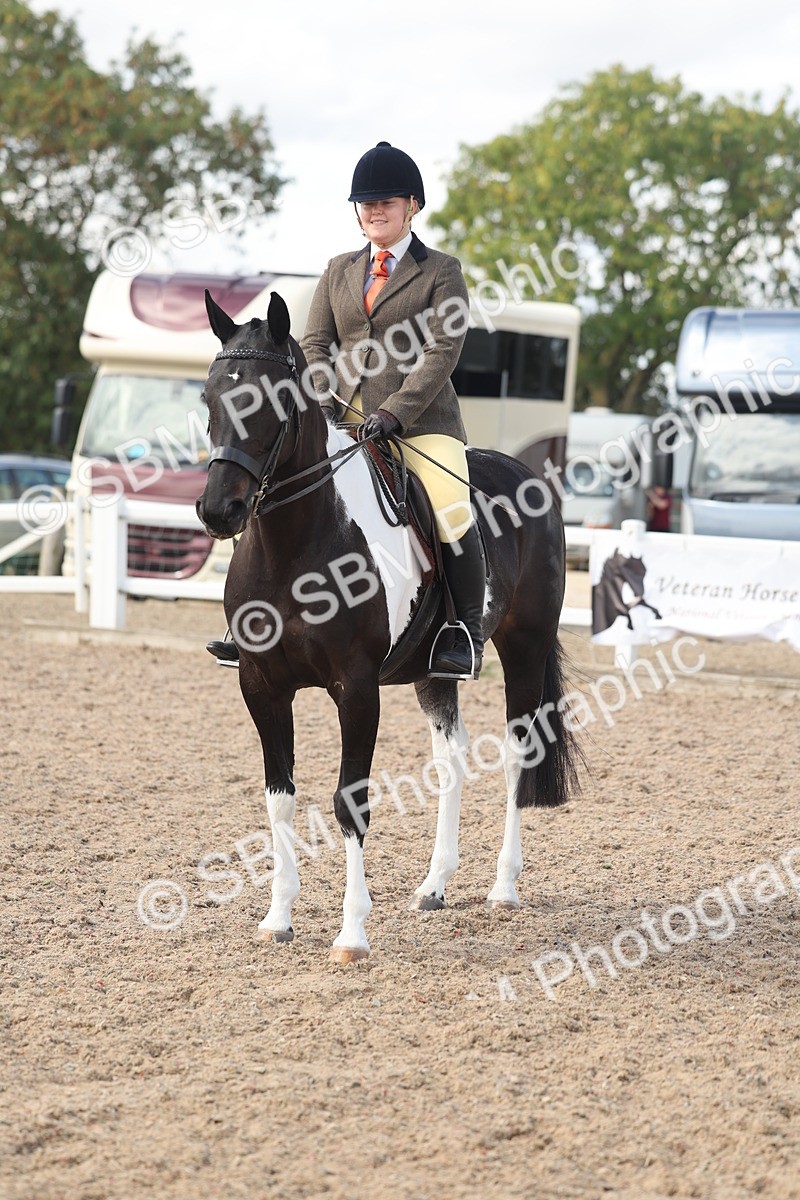 SBM_14806 - Class 308 - Ridden Coloured Horse
