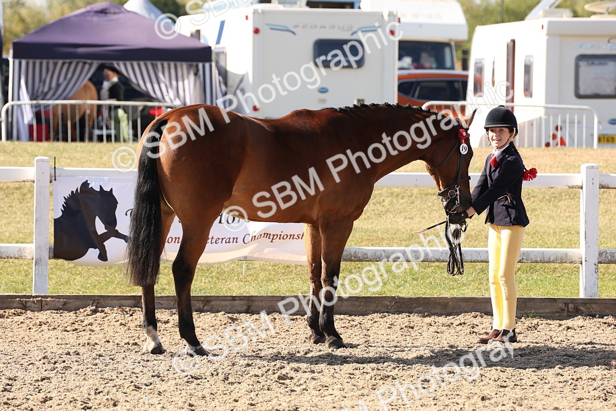 SBM_12820 - Class 205 - IH Show Pony - Show Hunter Pony