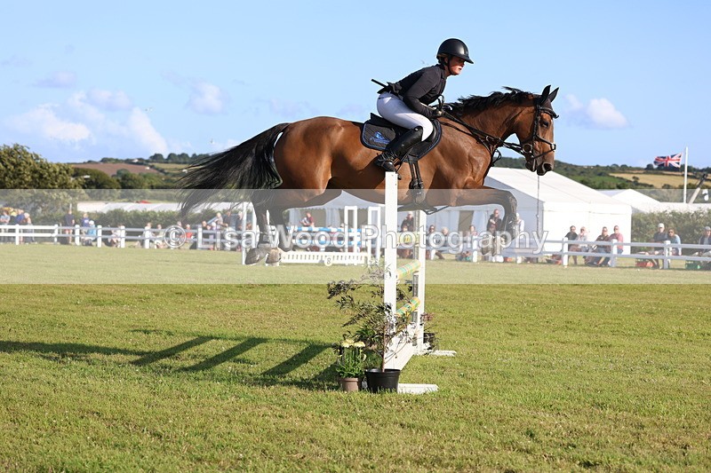 3E7A4521 - Class C: Showjumping Senior Foxhunter