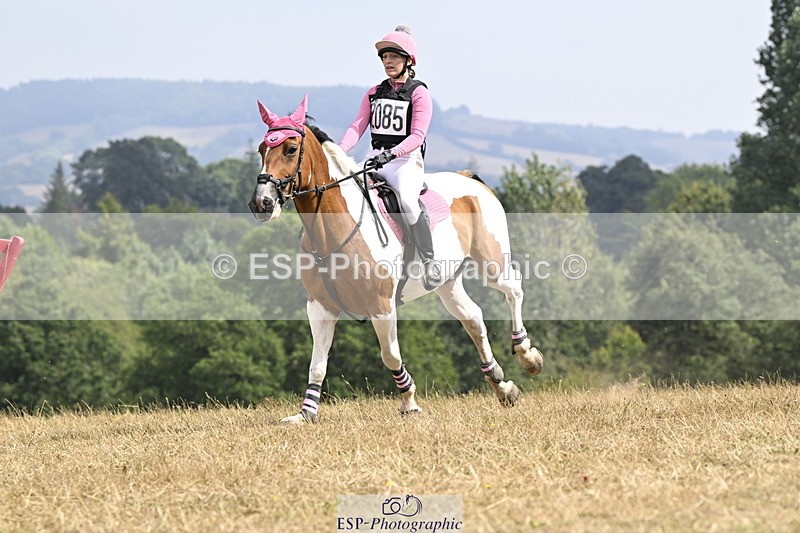 250824A-130612-36778 - 2010-Freya.Hallam-Deakin-Tommy