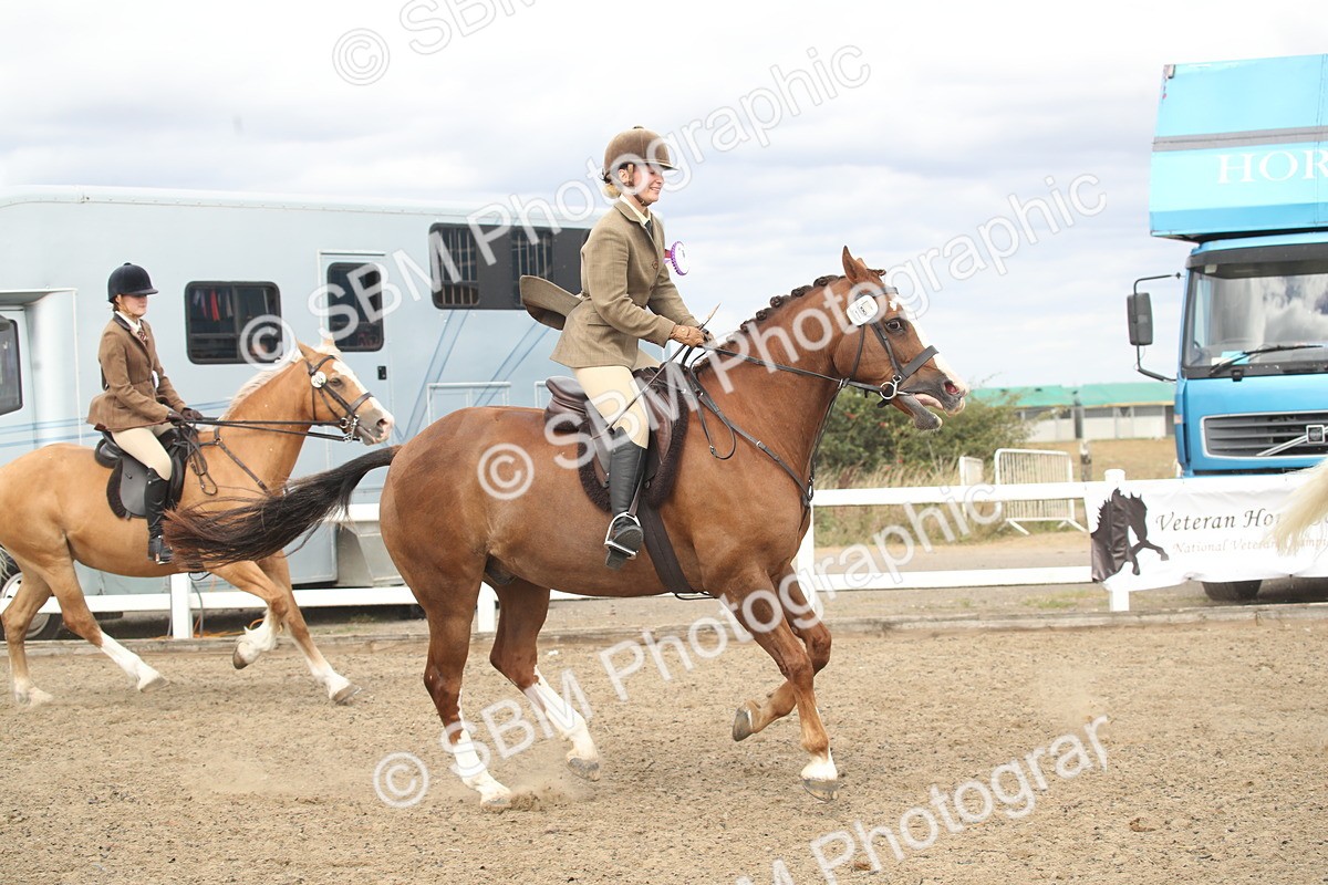 SBM_17812 - Class 508a - Working Veteran 70cm (15-19)