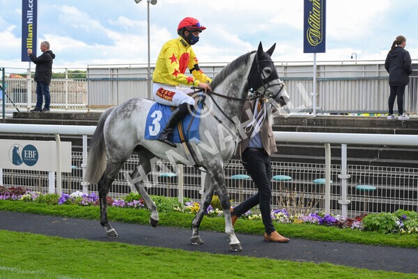 yr22052021r7-21 - Race 7 5.25pm Hudson Quarter York Palace Capital Stakes - Gentleman Amateur Riders Race