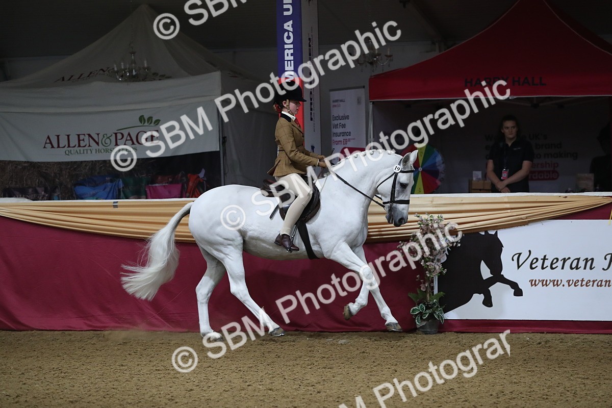 SBM_09266 - Class 101 Equitation (best rider), Junior