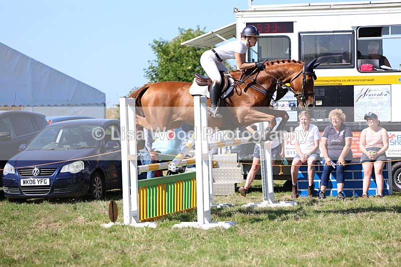 3E7A6425 - Class 13: Senior Newcomers/1.10m open