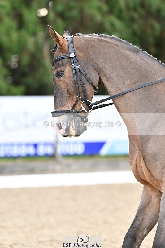 251023A-110904-01167 - C-226-Kate.Rowe