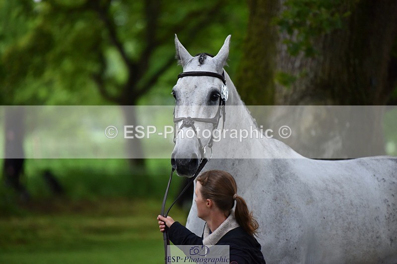 240522-164558-01136 - 281-UNSTOPPABLE_VAN_'T_CRAEYNEST_Z-Valentine_Emsens