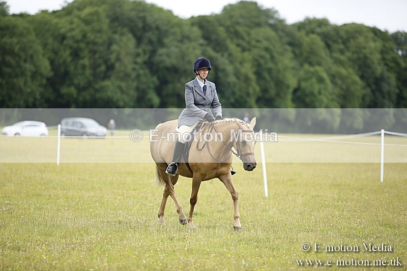 BVR160717-290 - Ring 1 BVRC Show 16/07/17