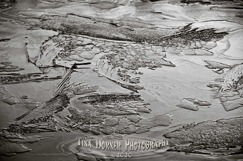 Ice with Bird Feathers by Tina Dorner Photography, Forest of Dean and Wye Valley, Gloucestershire