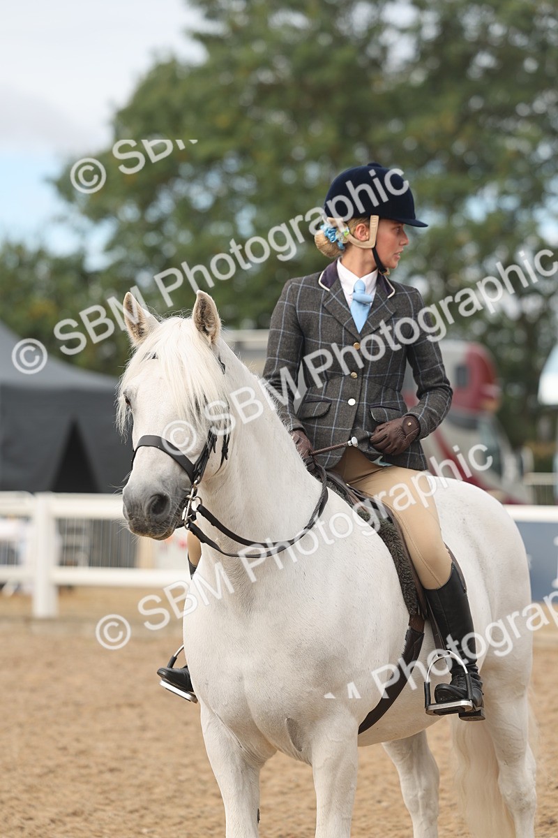 SBM_02002 - Class 14 - Ridden M&M Wildcard