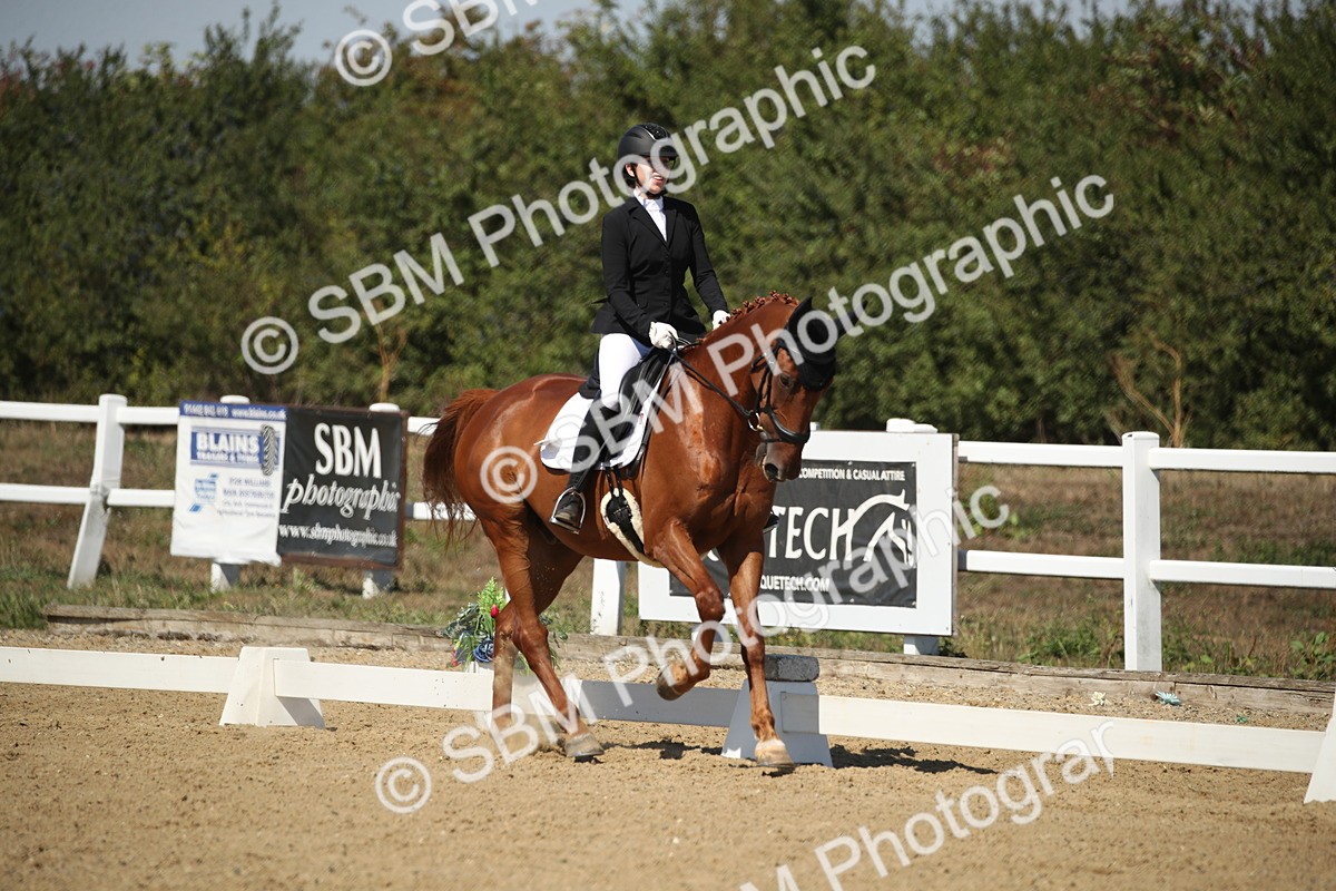 SBM_005123 - Class 11 - Novice 5 - 11.41-12.58