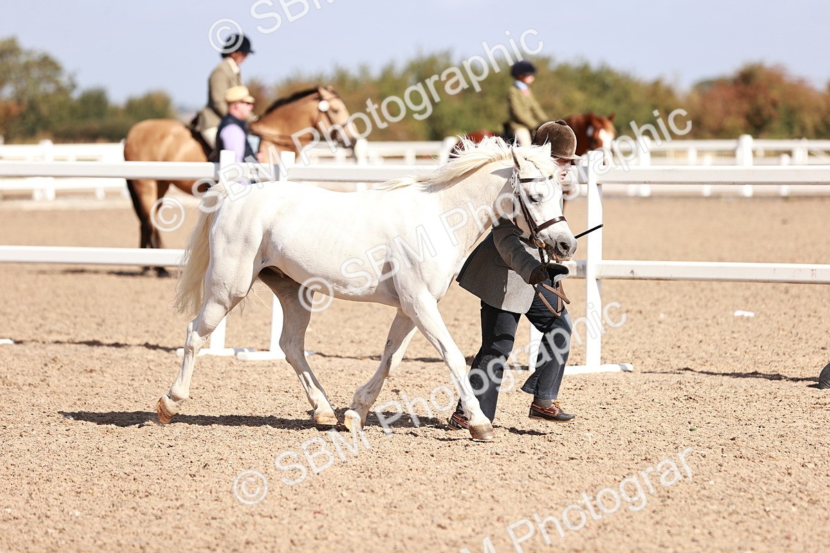 SBM_22786 - Class 705 - IH Combination 65+
