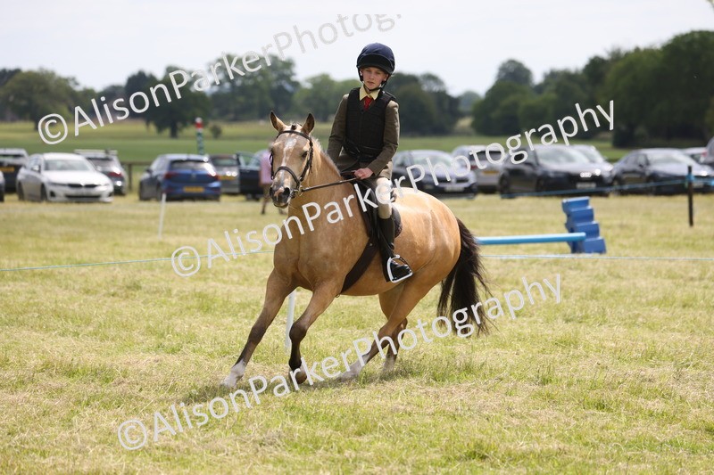20260614-1803 - Class 21 - Novice Working Hunter Pony