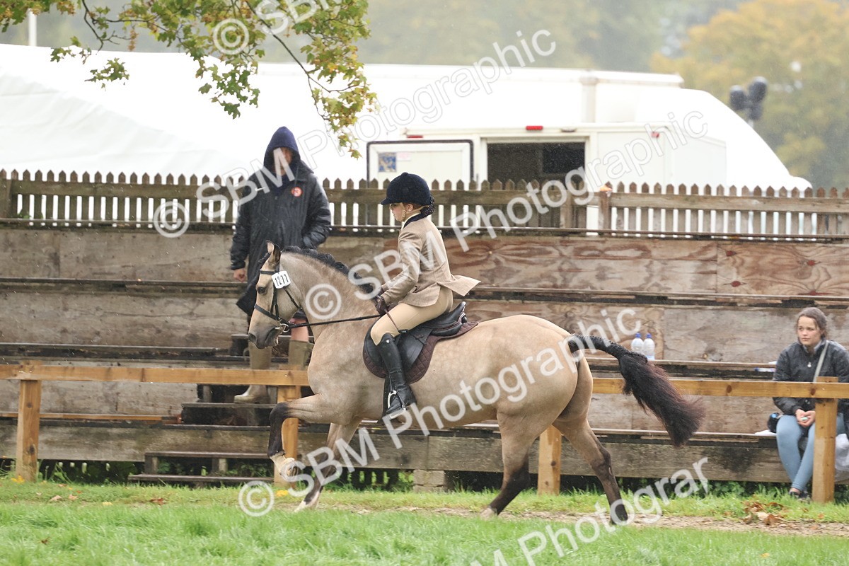 SBM_73062 - S63 Show Pony & Show Hunter Pony Ridden