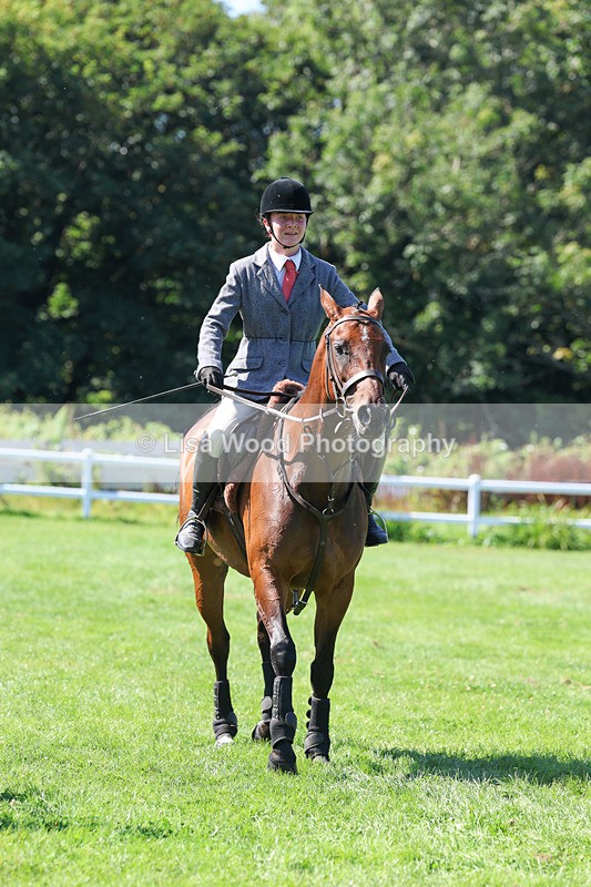 3E7A8310 - Class 4: Novice working Hunter