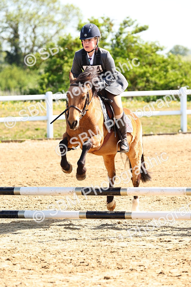 SBM_006646 - Class 2 - 50cm