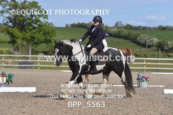 BPP_5563 - 4 L DENHOLM