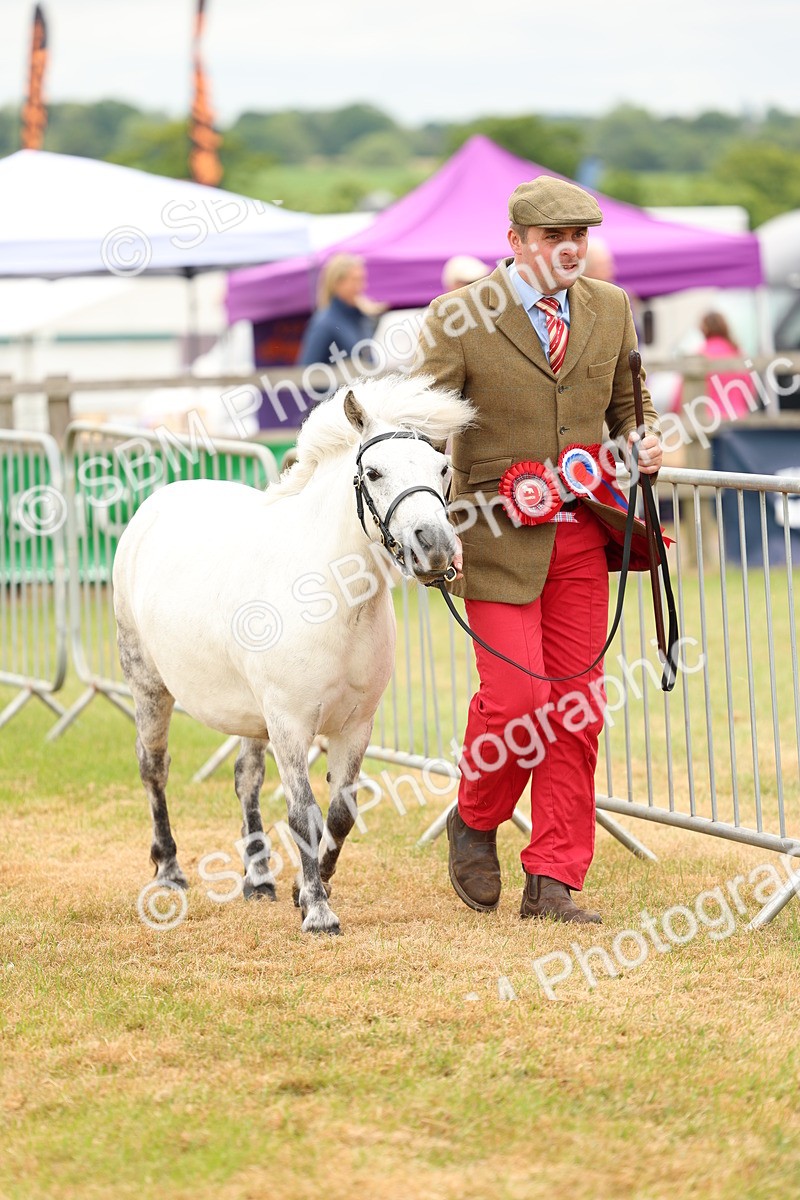 SBM_03558 - Class 58-67 - M&M Non Welsh Pony In hand