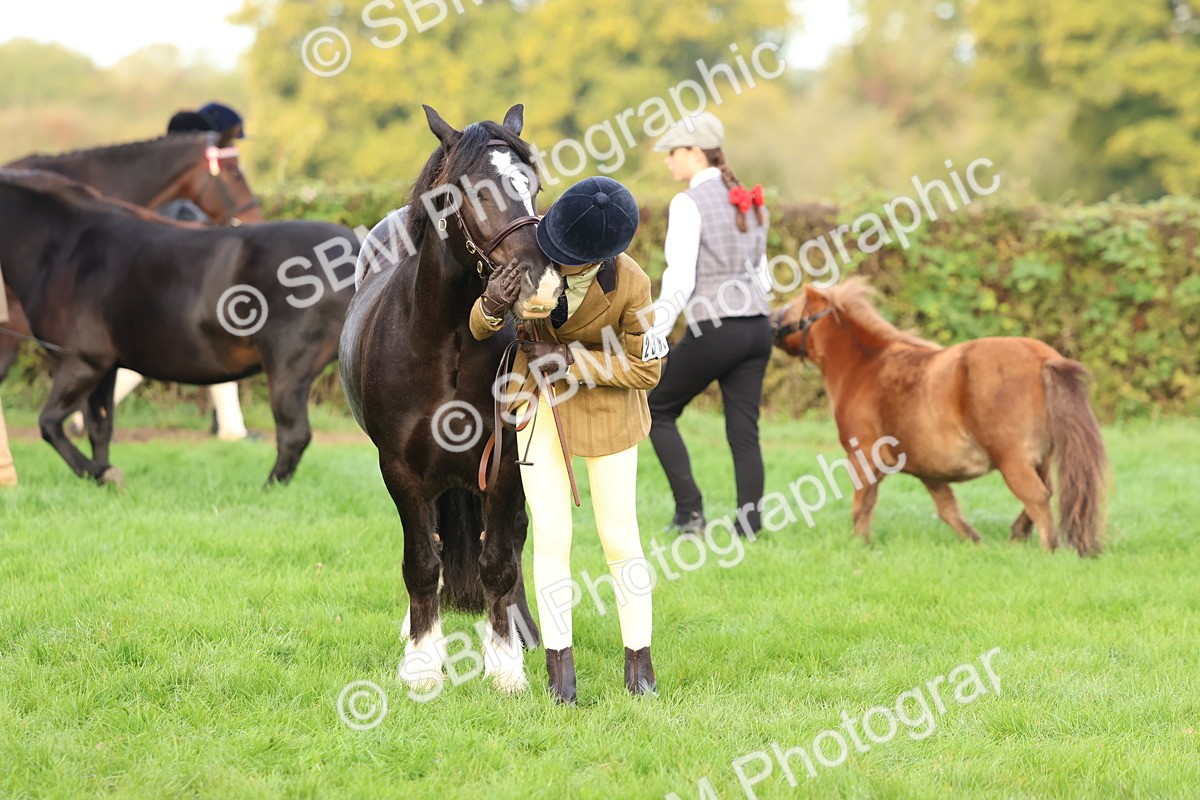 SBM_54890 - S39 - Starters In Hand Showing