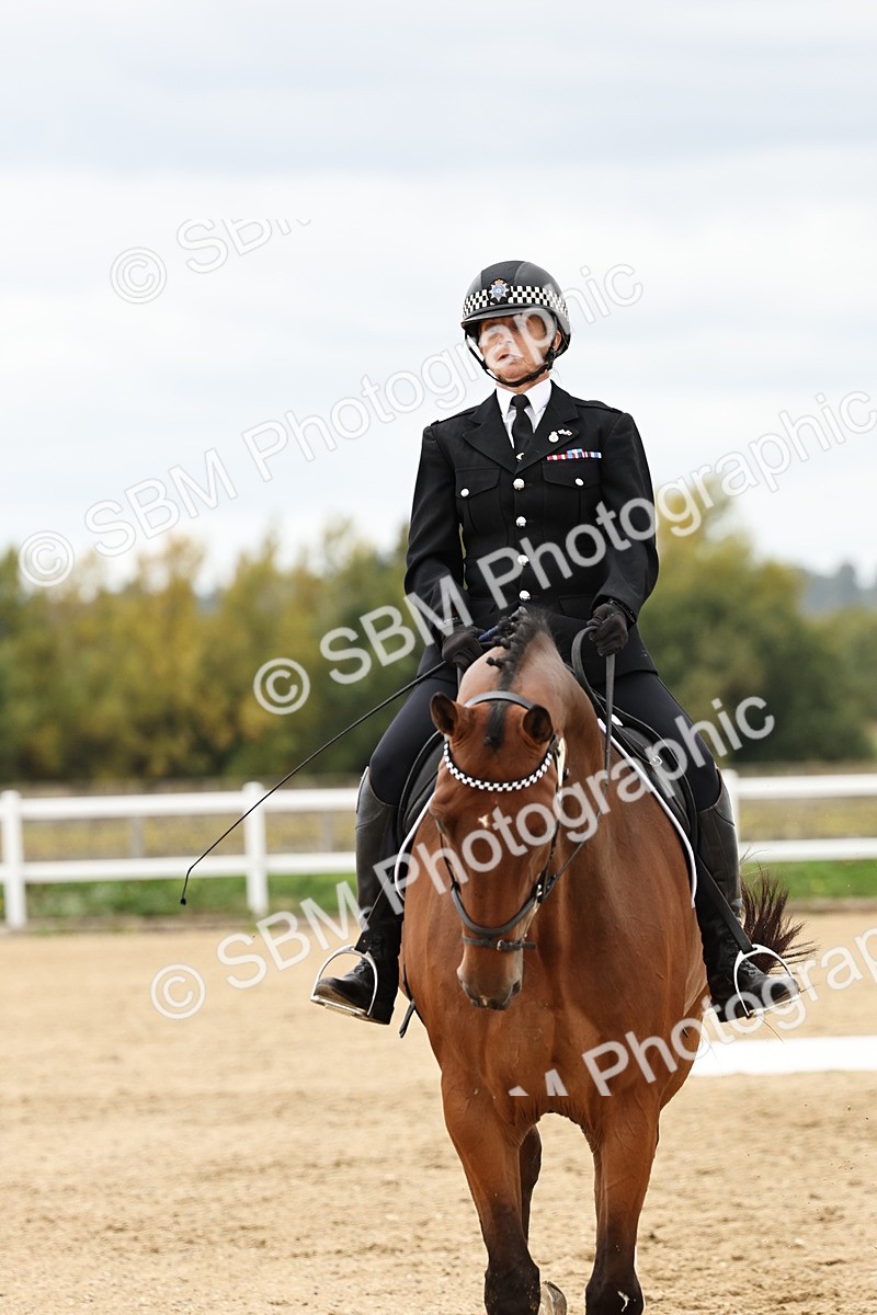 SBM_004510 - Class 69 - Novice 2