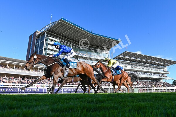 yr08102022r5-41 - Race 5 3.50pm The Coral Committed To Safer Gambling EBFStallions.com Maiden Stakes