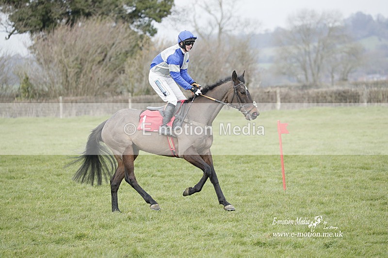 PtP 050323 946 - Blackmore & Sparkford Vale Hunt PtP - Somerset 05/03/23
