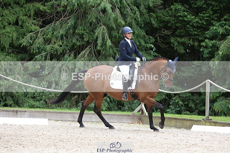 230812-150524-05047 - Cls 5 Novice Bronze 15.00 to End