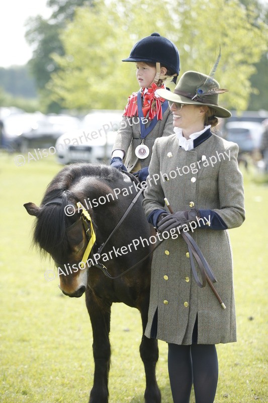 20260426-1897 - Class 7 - Pony Judge Would Most Like To Take Home
