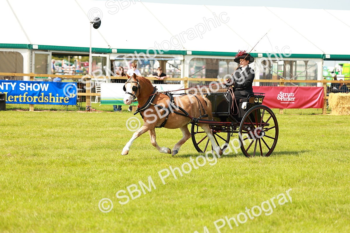 SBM_02676 - Class 2-4 - HOYS Private Driving