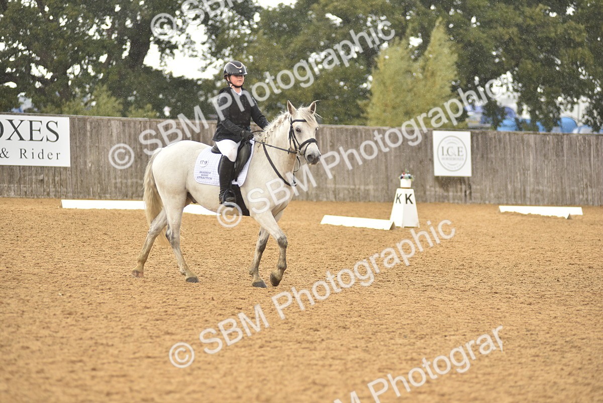 SBM_42454 - D22 - Junior Championship Intro 3