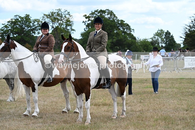 WJ7_5482 - Class 12 Ridden Cob