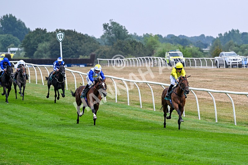 040826-Race 1-Waakabb-4655 - Race 1 14.15pm Army Benevolent Fund/EBF Novice Stakes