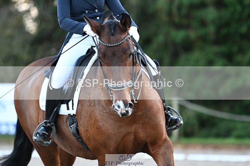 231110-155423-02370 - Cls 11 FEI PSG