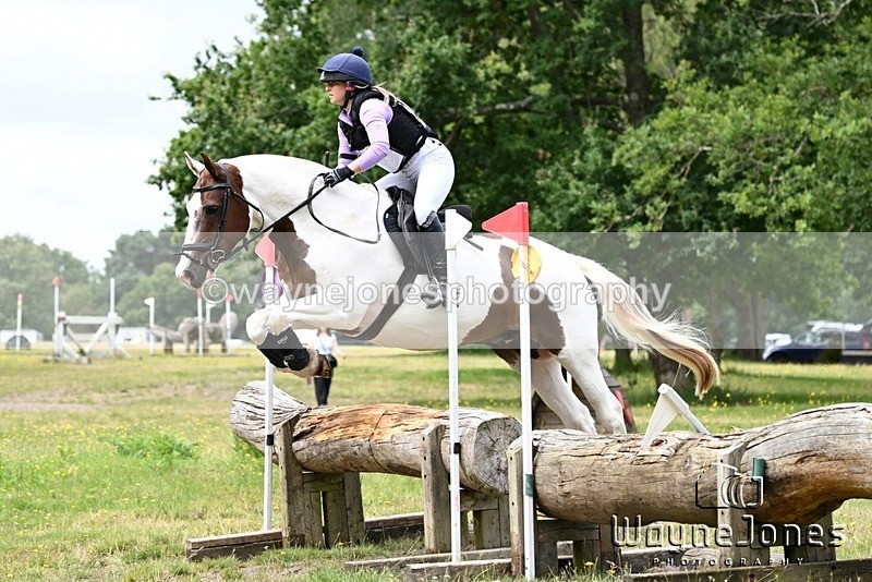WJ6_1070 - edited examples