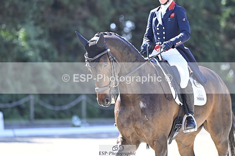 250522A-101238-02642 - B-310-Kitty.King-LISCARROW.FERNHILL