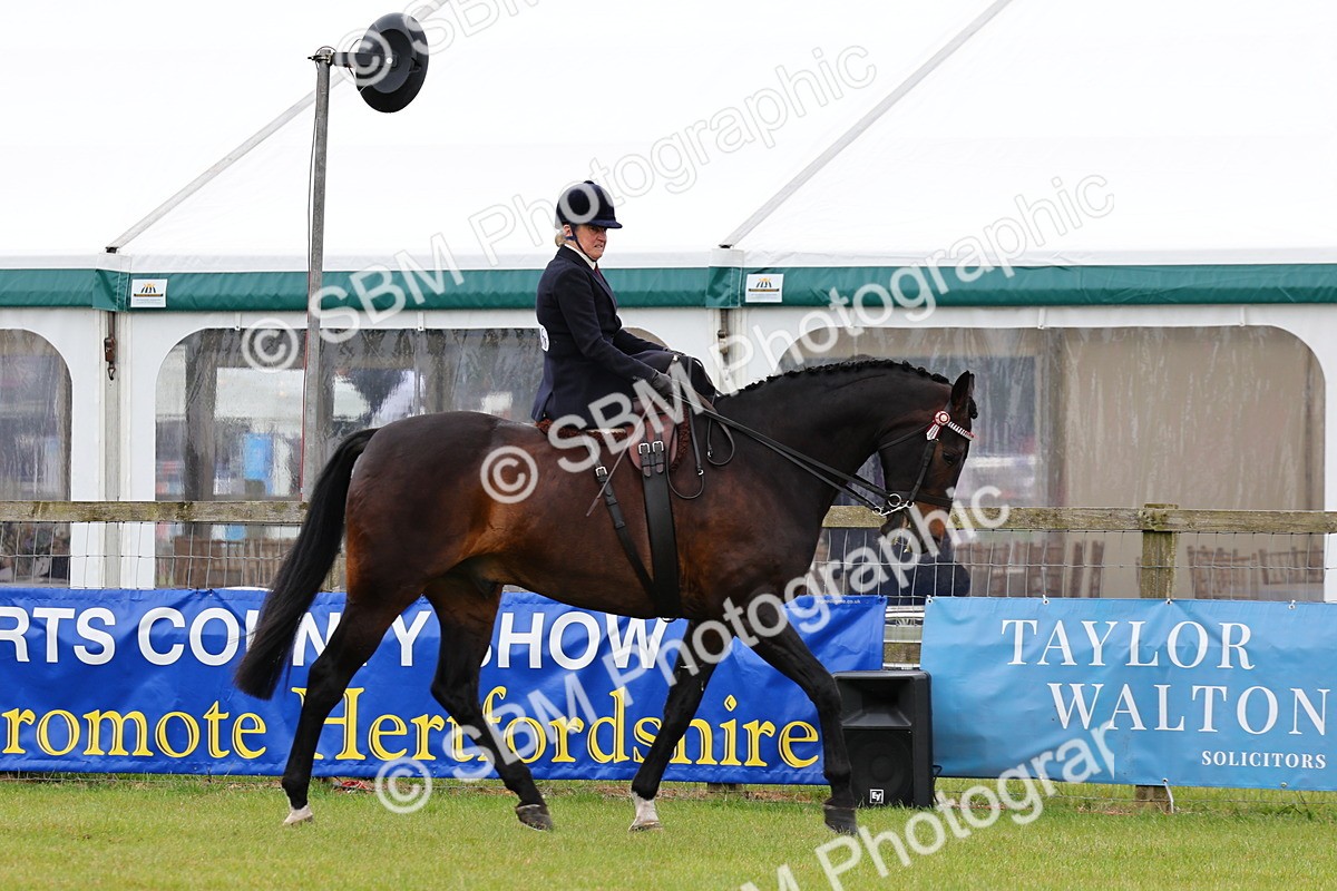 SBM_02954 - Class 9-11 Side Saddle including LIHS Rising Star Ladies Show Horse