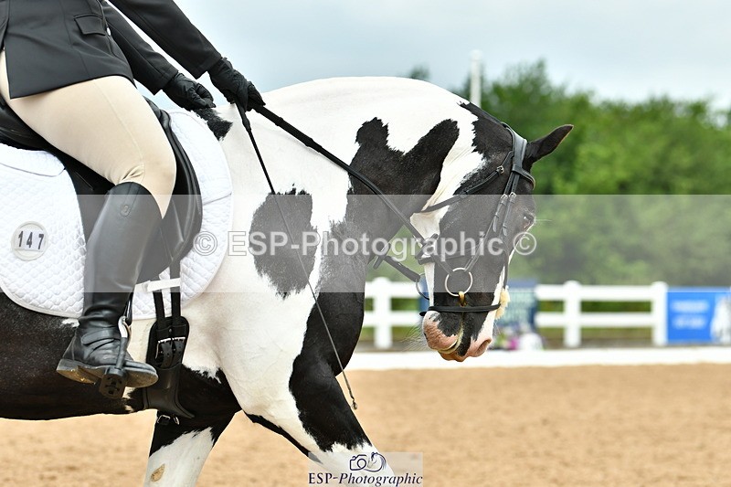 230701A-110746-05163 - Cls 5 Novice 37A