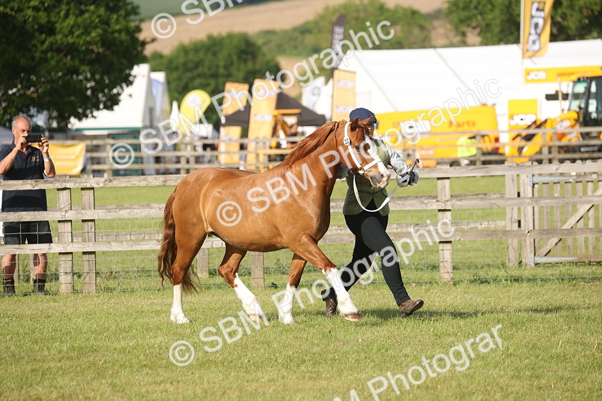 SBM_10488 - Class 33-38 - SSADL RIHS Qualifiers