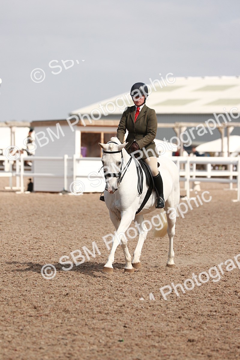 SBM_14893 - Class 212 Ridden Hunter - Small