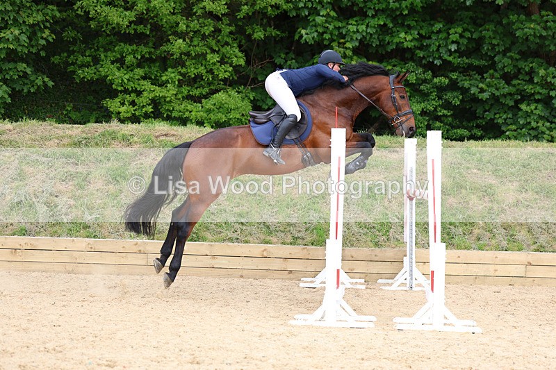 3E7A7902 - Class 8: Senior Foxhunter/1.20 open