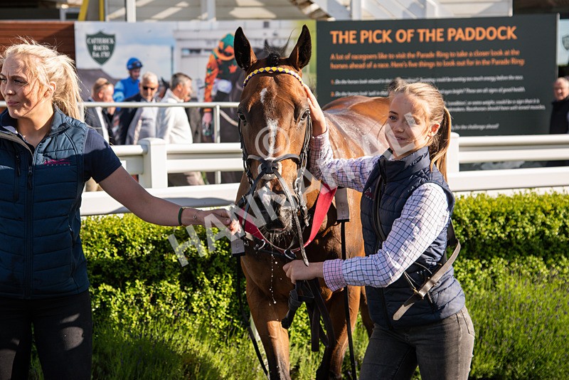 080624-Race 8-Resilience-7390 - Race 8