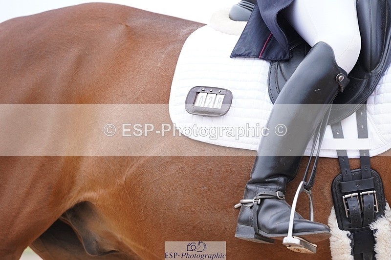 250403-161726-03277 - 028-Elizabeth.Allen-Heraldik