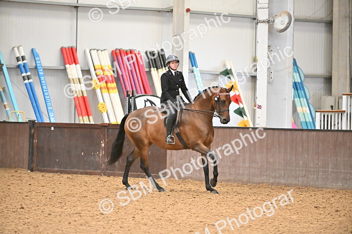 SBM_002370 - Class 22 - BSHA Ridden Hack & Riding Horse