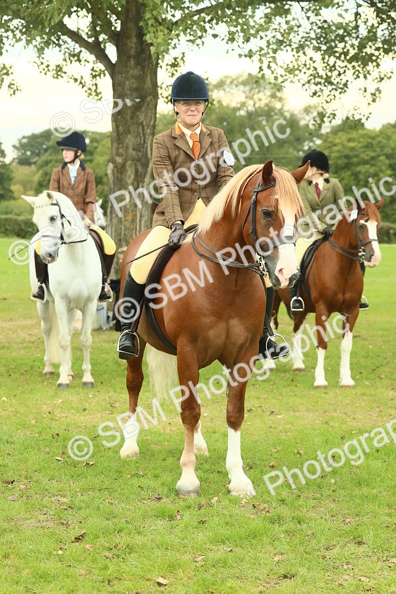 SBM_72284 - S60 - Mountain & Moorland Ridden Large Breeds