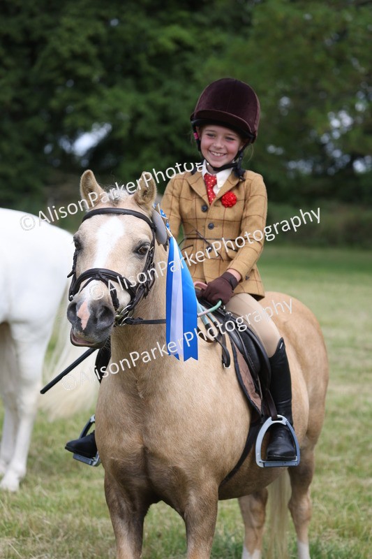 20260614-0817 - Class 20 - Beginners Working Hunter Pony