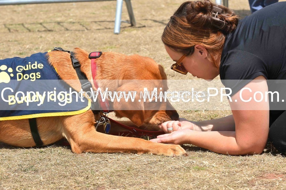 SH4_0238 - Dog show.