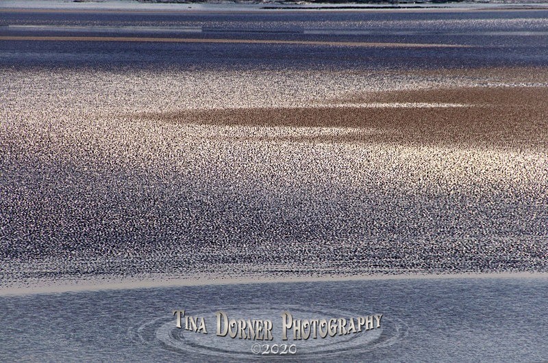 Tidal Sands of Severn Estuary. by Tina Dorner Photography, Forest of Dean and Wye Valley, Gloucestershire