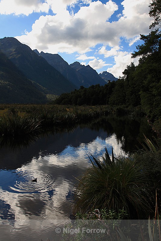 Mirror Lakes on the road to Milford Sound - New Zealand