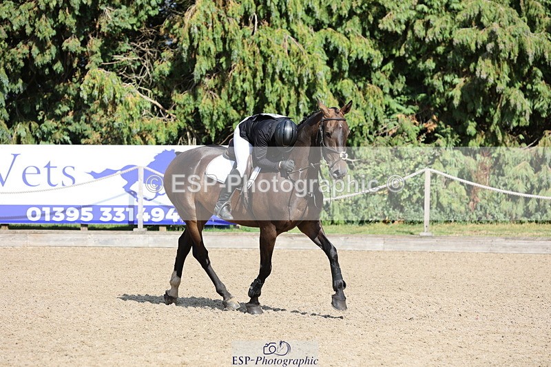 250803A-162823-17480 - S-856-Helena.Stock-ROYAL.UPDATE