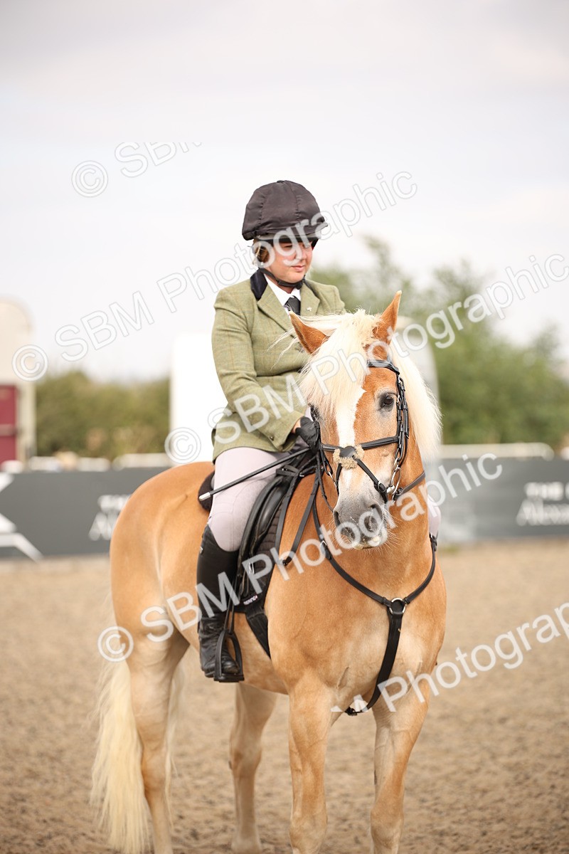 SBM_16236 - Class 409a - Working Veteran 80cm (15-19)