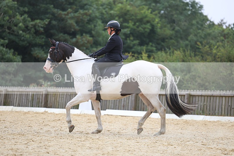 3E7A7062 - Class 7: Novice 4 2024 Section B